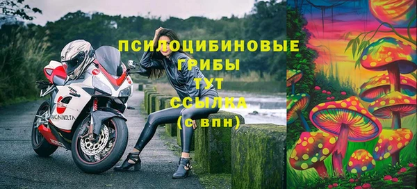 молекула духа Богданович