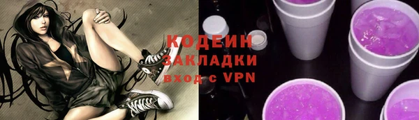 молекула духа Богданович