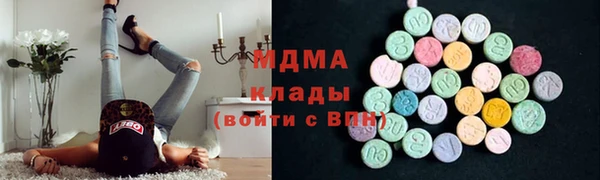 молекула духа Богданович