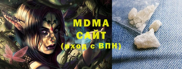 молекула духа Богданович