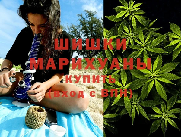 МДПВ Бронницы