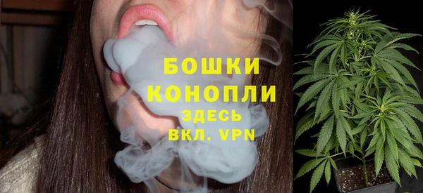 молекула духа Богданович