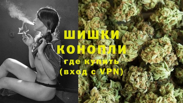 МДПВ Бронницы