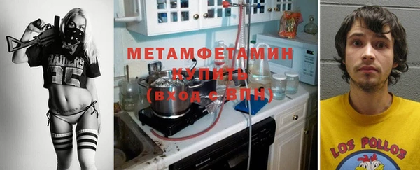 молекула духа Богданович