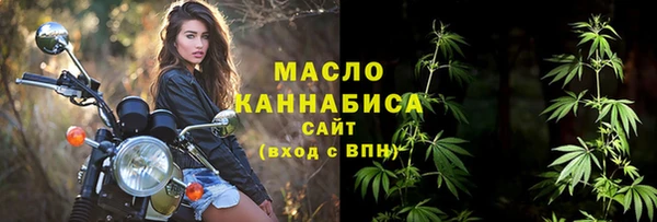 молекула духа Богданович