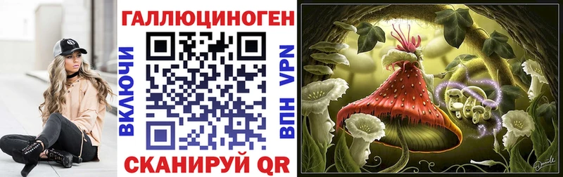 гидра вход  shop какой сайт  Галлюциногенные грибы мицелий  Мценск 